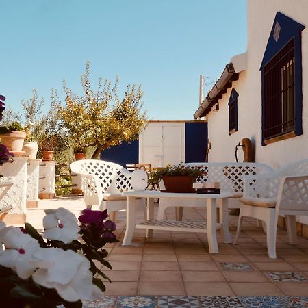 Villa Immersa In Oliveto Vista Mare Шака Екстериор снимка