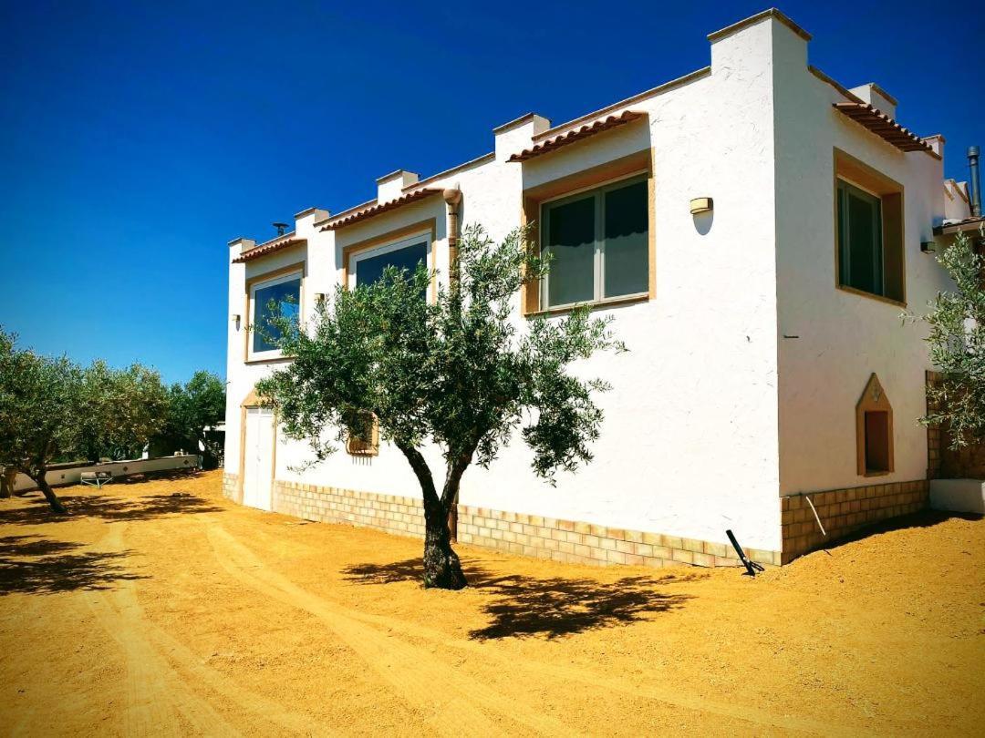 Villa Immersa In Oliveto Vista Mare Шака Екстериор снимка