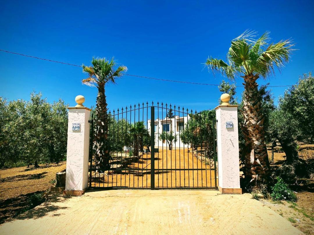 Villa Immersa In Oliveto Vista Mare Шака Екстериор снимка