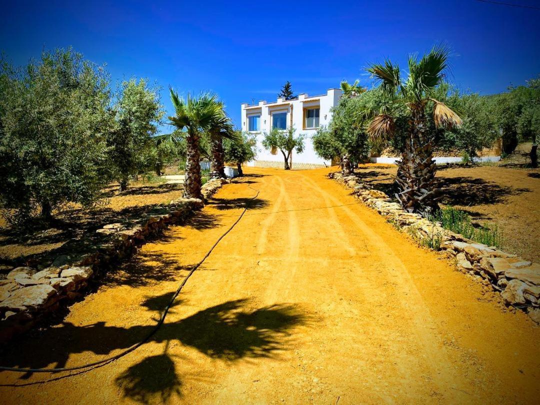Villa Immersa In Oliveto Vista Mare Шака Екстериор снимка