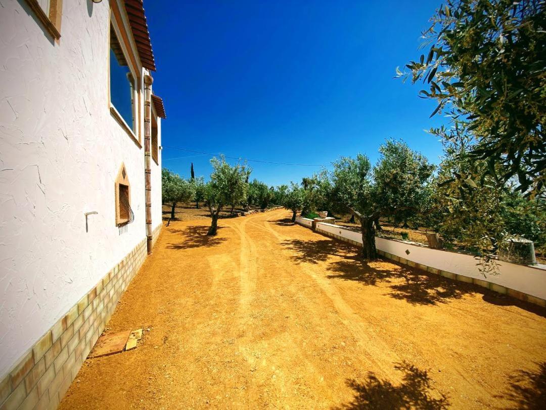 Villa Immersa In Oliveto Vista Mare Шака Екстериор снимка