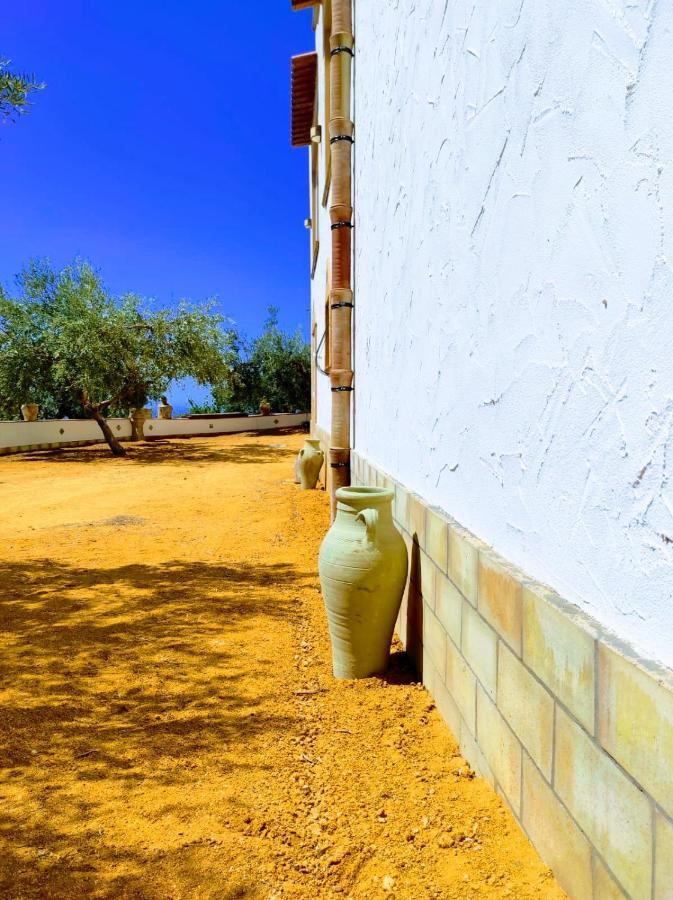 Villa Immersa In Oliveto Vista Mare Шака Екстериор снимка
